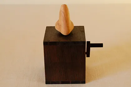 Tale of a Nose